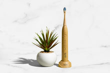 Load image into Gallery viewer, Sonic Electric Toothbrush
